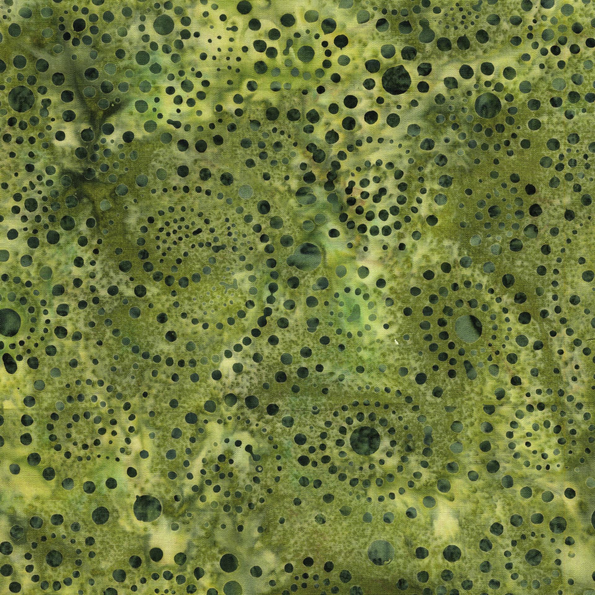Dotmania Strip Pack, Island Batik, Precut 2.5" Tan Green Brown Batik Fabric Strip Roll