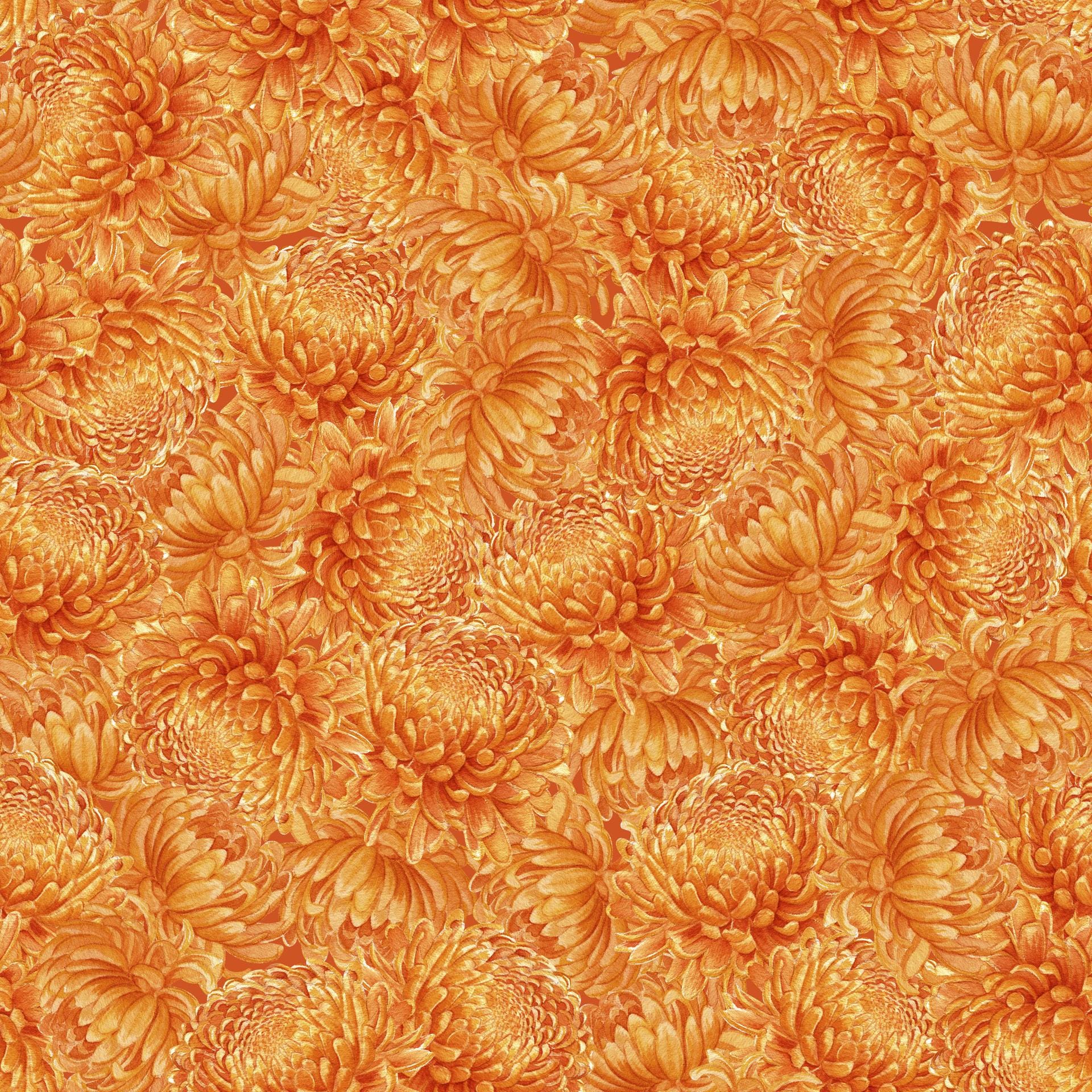 Monarch Meadow 5" Charm Squares, White Owl Fabrics MONARCHMEADOW-05, 5" Precut Monarch Butterfly Butterflies Floral Quilt Fabric Squares