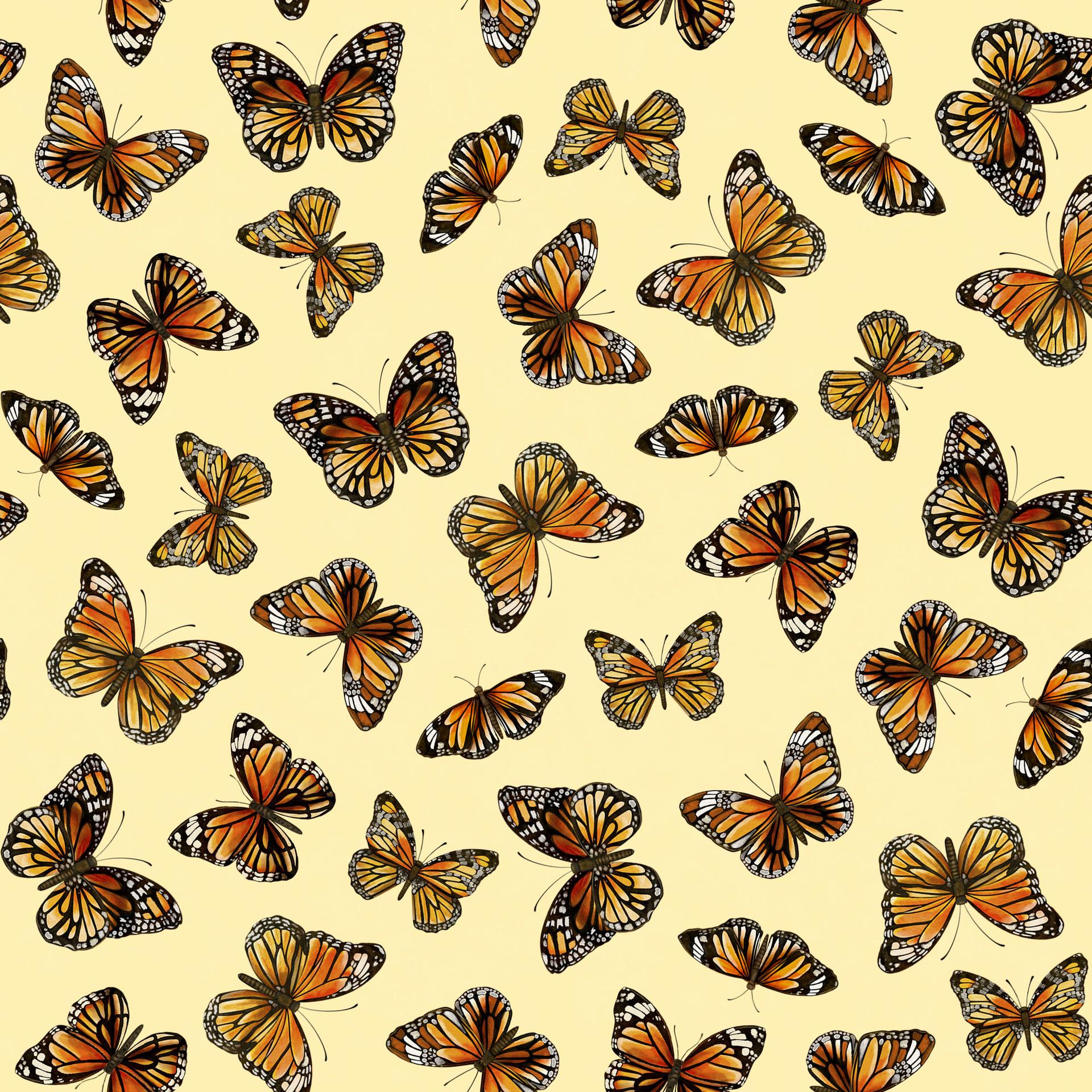 Monarch Meadow 10" Squares, White Owl Fabrics MONARCHMEADOW-10, 10" Precut Monarch Butterfly Butterflies Floral Quilt Fabric Squares
