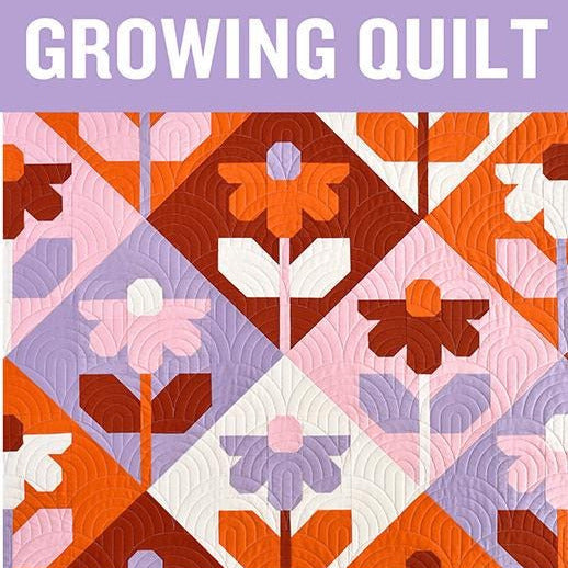 Growing Quilt Pattern, Pen and Paper Patterns PPP53, Yardage Friendly Cone Flowers Baby Throw Bed Quilt Pattern, Lindsey Neill
