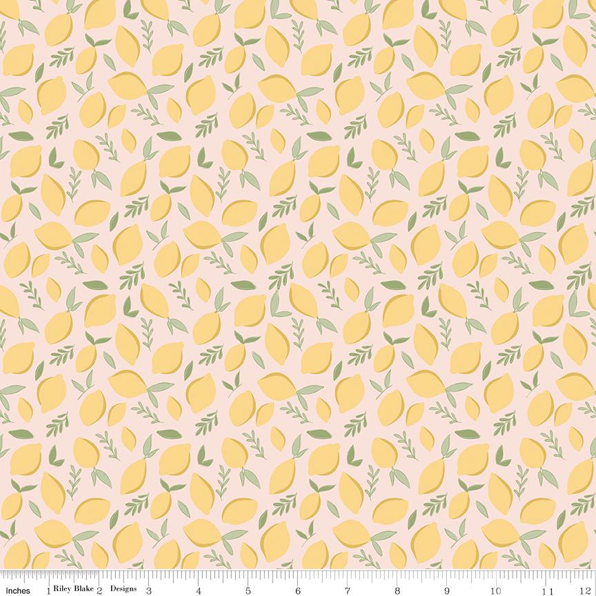 Daybreak 5" OOP Stacker, Riley Blake 5-11620-42, 5" Precut Pink Yellow Blue Floral Bee Charm Pack Fabric Squares, Cotton and Joy