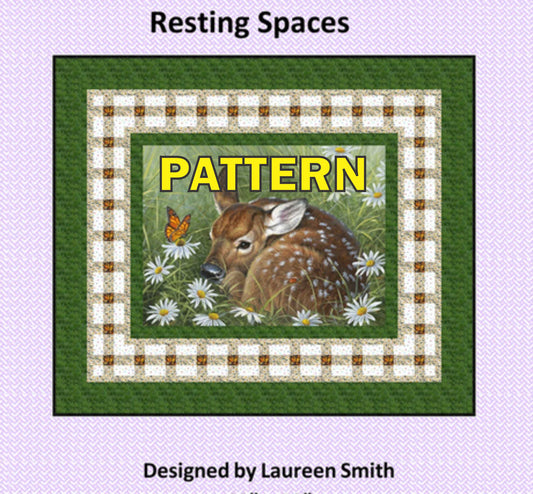 Resting Spaces Panel Frame Quilt PATTERN, Tourmaline and Thyme TTQ-632, Horizontal Vertical Panel Friendly Easy Lap Throw Quilt Pattern