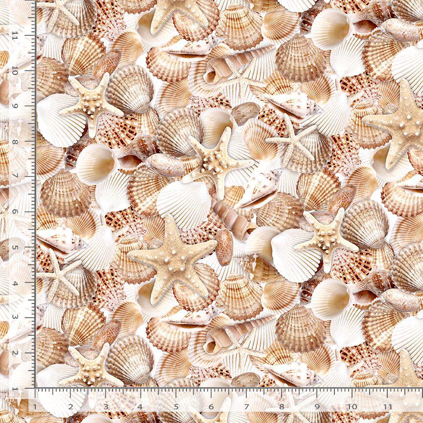 Let Your Light Shine - Packed Seashells Fabric, Timeless Treasures BEACH-CD3973 Shell, Shells on Sand Fabric, By the Yard