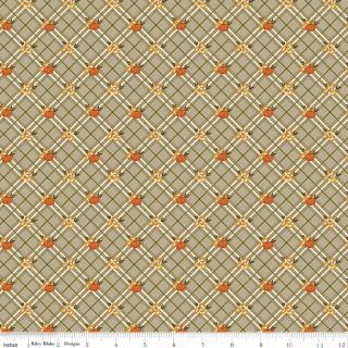 Bountiful Rolie Polie, Riley Blake RP-17860-40, 2.5" Precut Brown Gold Orange Green Autumn Fall Floral Fabric Strips, Sandy Gervais