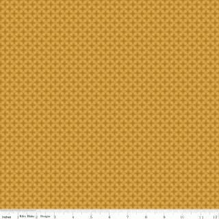 Bountiful Rolie Polie, Riley Blake RP-17860-40, 2.5" Precut Brown Gold Orange Green Autumn Fall Floral Fabric Strips, Sandy Gervais
