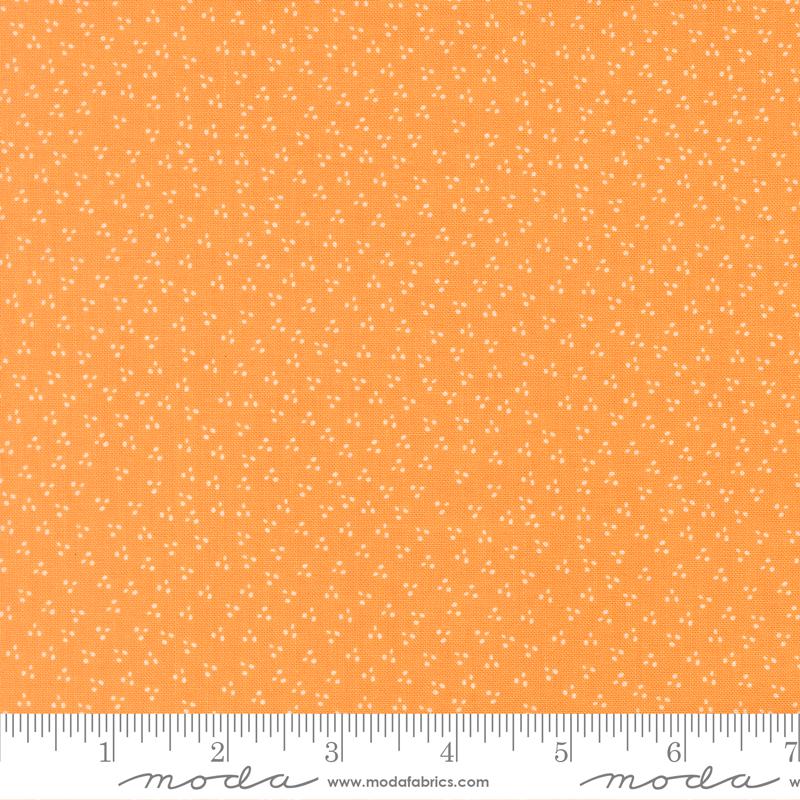 Birch and Willow 5" Charm Pack, Moda 37720PP, 5" Precut Autumn Fall Floral Quilt Fabric Squares, Sherri and Chelsi
