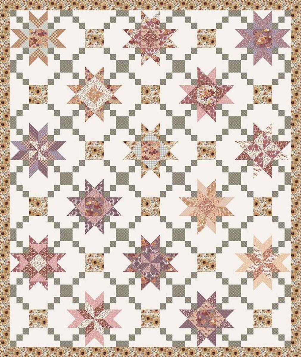 Prairie Garden Quilt Pattern, Modern Prairie P207-PRAIRIEGARDEN, Yardage Friendly Stars Irish Chains Sampler Lap Throw Quilt Pattern