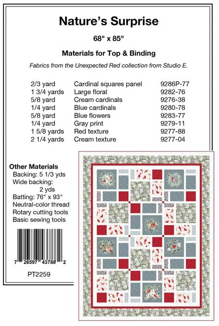 Nature's Surprise Block Panel Frame Quilt PATTERN, Pine Tree Country Quilts PT2259, Fabric Panel Blocks Friendly Quilt Pattern