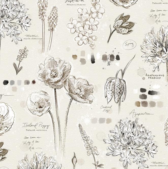 Botanical Sketchbook 10" Squares, White Owl Fabrics BOTANICALSKETCHBK-10, Precut 10" Cream Taupe Black Floral Quilt Fabric Squares