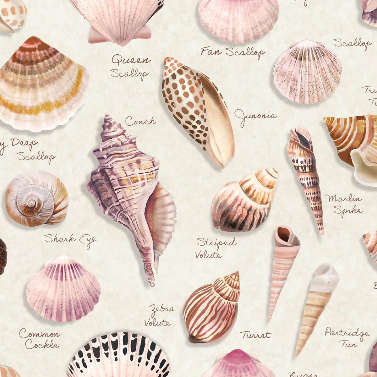 Seashell Wishes 5" Charm Pack OOP, Clothworks SQ0364, Beach Nautical Ocean Life Charm Pack Fabric, 5" Precut Fabric Squares, Teresa Magnuson