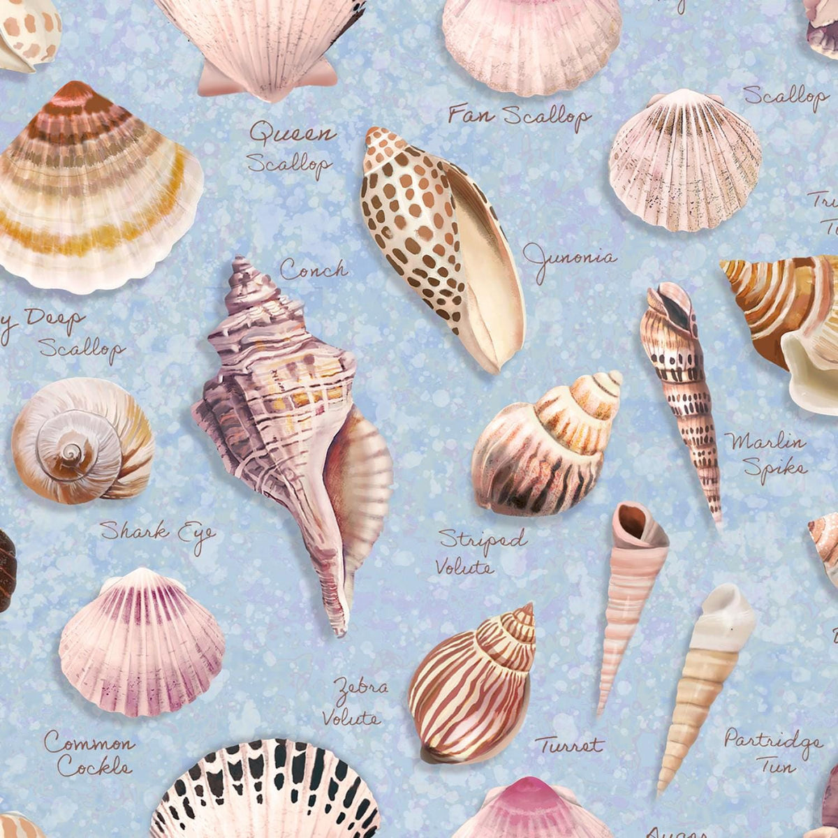 Seashell Wishes 5" Charm Pack OOP, Clothworks SQ0364, Beach Nautical Ocean Life Charm Pack Fabric, 5" Precut Fabric Squares, Teresa Magnuson