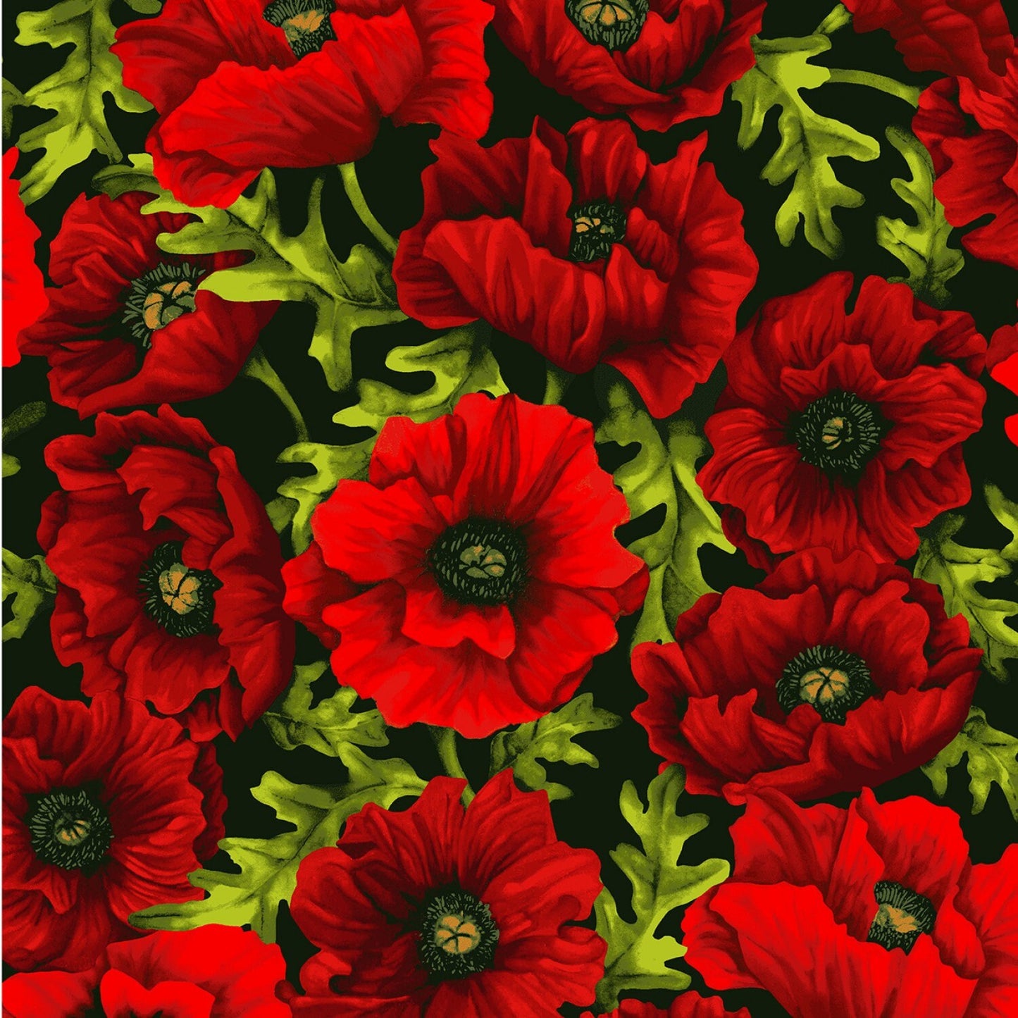 LAST CALL Poppy Poetry 2.5" Strips, Clothworks ST0223, 2.5" Inch Precut Floral Fabric Strips, Poppies Butterflies Butterfly Fabric