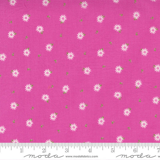 LAST CALL Sincerely Yours - Petunia Small White Daisies Pink Floral Valentines Day Fabric, Moda 37614 18, Sherri Chelsi, By the Yard