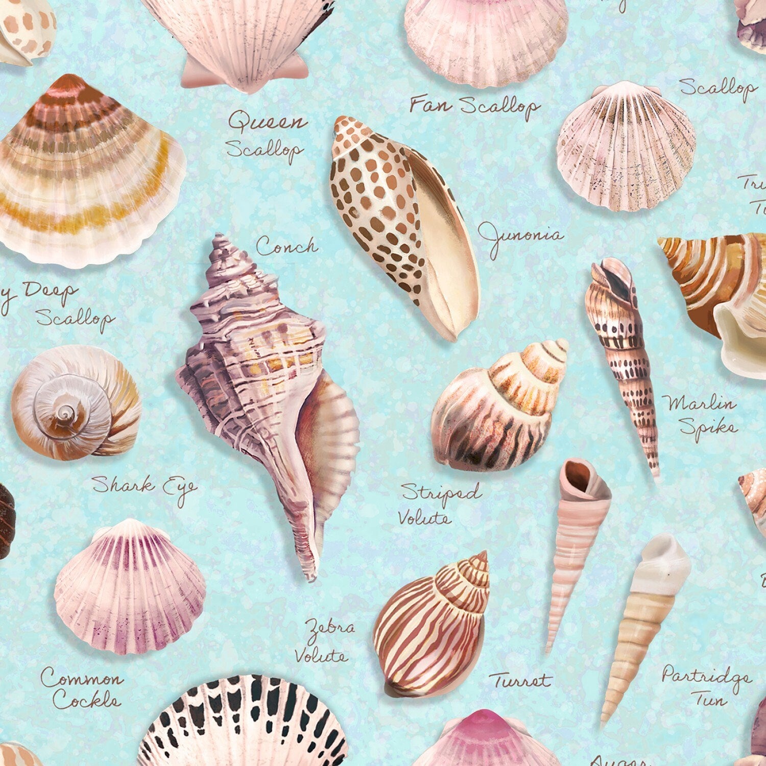 LAST CALL Seashell Wishes 17 Piece Fat Quarter Bundle, Clothworks FQ0364, Beach Ocean Coastal Shells Birds Fabric, 18 x 22 Fabric Cuts