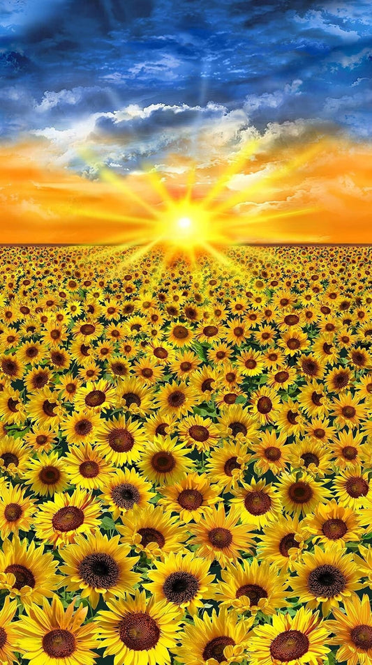 Sunflower Sunset - Field of Sunflowers 24" Fabric Panel, Timeless Treasures PANEL-CD2535 SUNSET, Digitally Printed